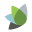 Poplar Ventures logo